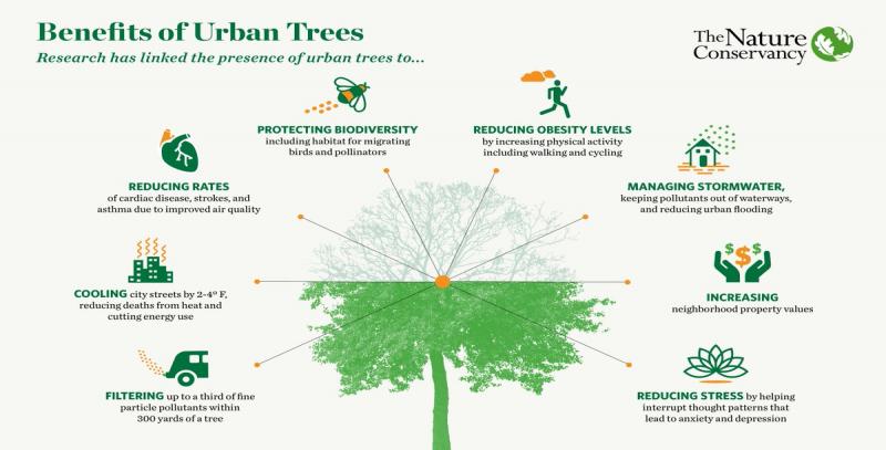 benefits of urban trees