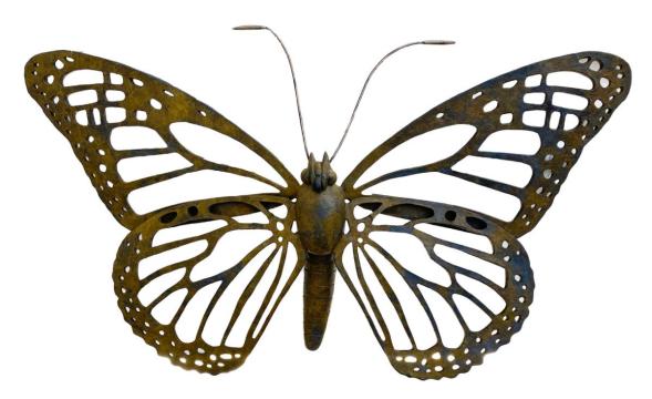 'Butterfly in Flight' by Nancy Schon