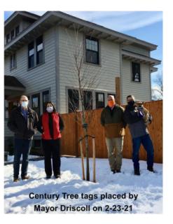 Century Tree tags placed by Mayor Driscoll 2-23-21